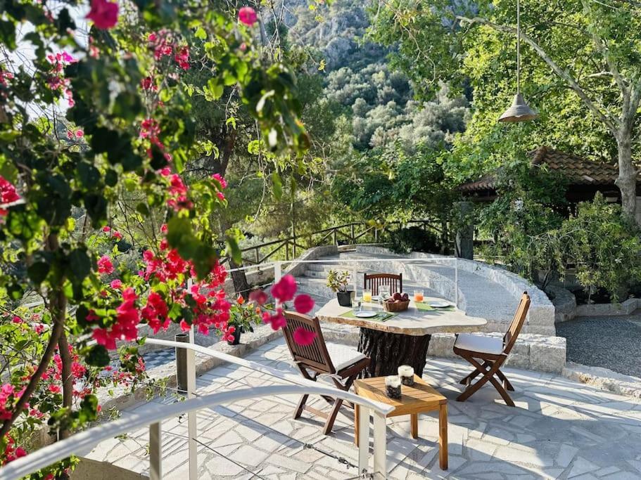 Elia Junior Suite In Epidavros With Shared Pool Nea Epidavros Ngoại thất bức ảnh